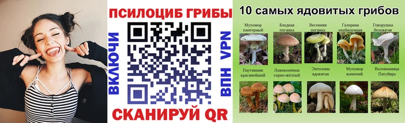 ОМГ ОМГ ССЫЛКА  Гусиноозёрск  Галлюциногенные грибы MAGIC MUSHROOMS  как найти  